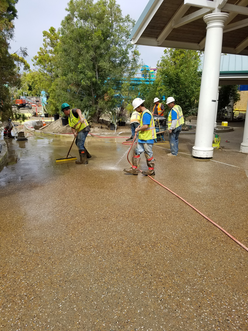 Workers Working on Cleaning a Mosaic Floor Work