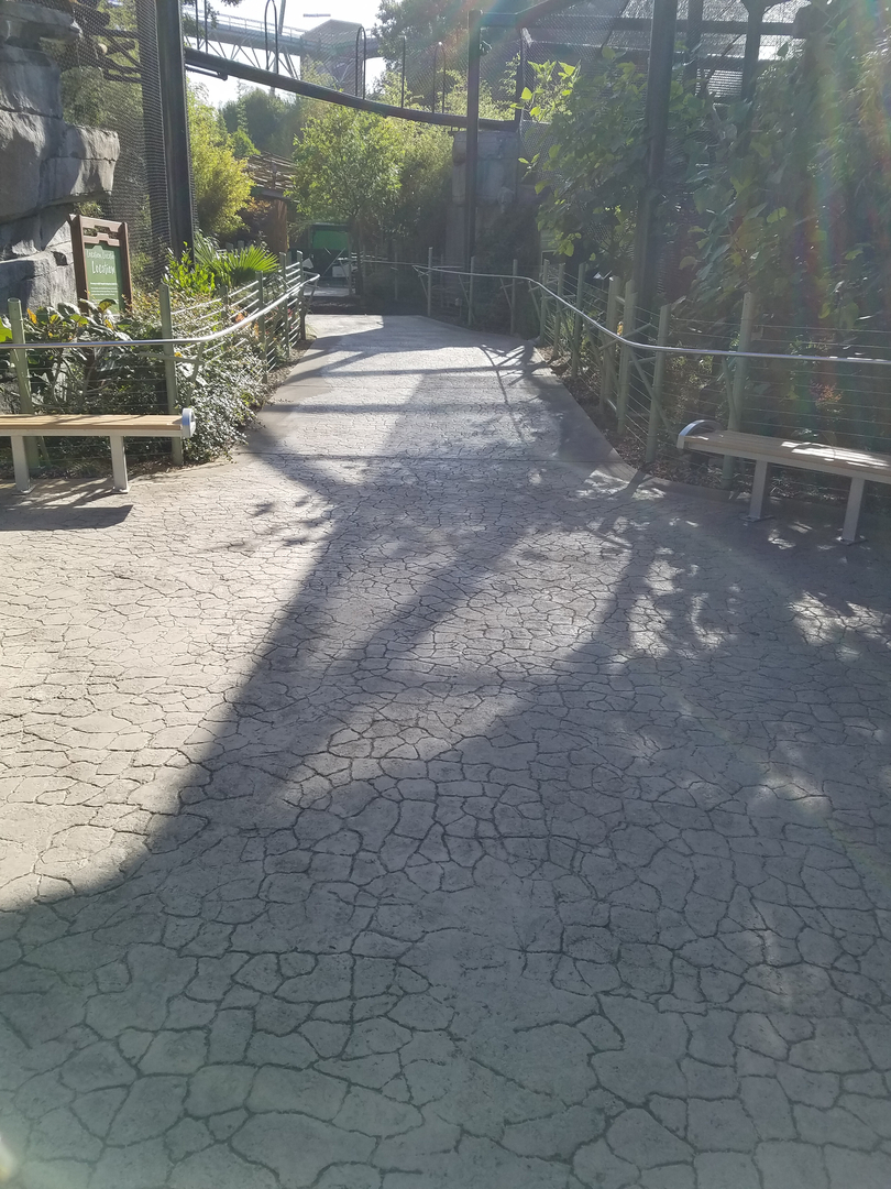 A Cracked Concrete Flooring Pathway With Wood Railing