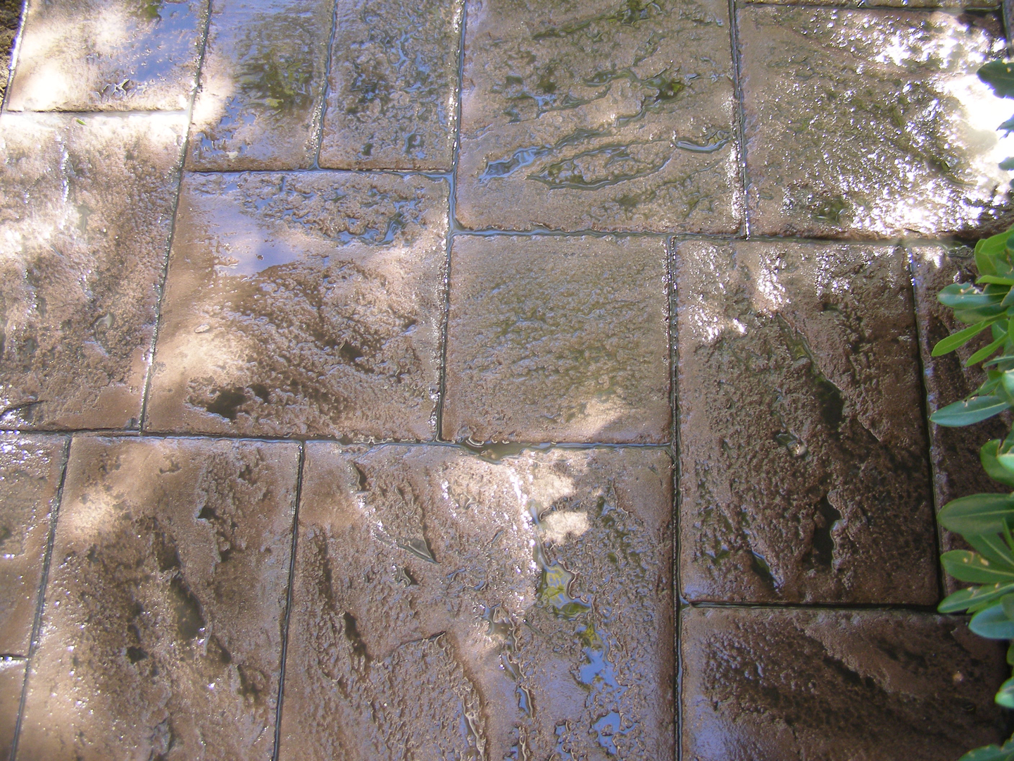 A Concrete Stamp Pattern Stone Floor