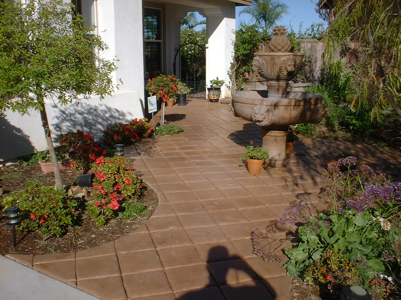 A Backyard Garden Space With Block Tiles